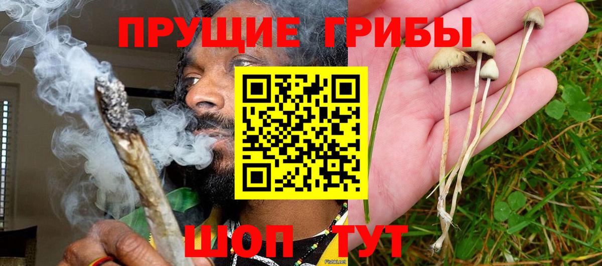 Галлюциногенные грибы Cubensis Якутск