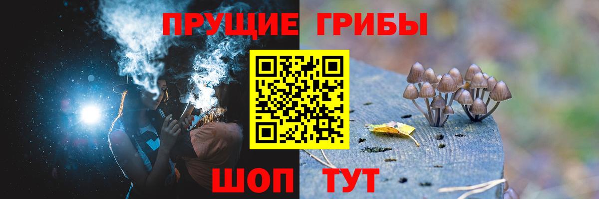 Галлюциногенные грибы мицелий  Вход с VPN  Якутск 